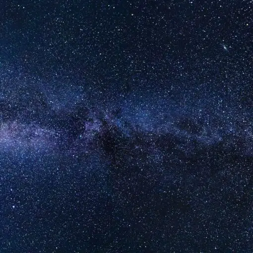 The Milky Way Galaxy